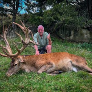 New Zealand Red Stag Hunt (300-349″)
