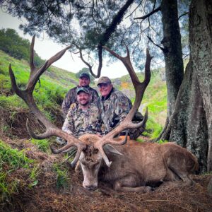 New Zealand Red Stag Hunt (350-399″)