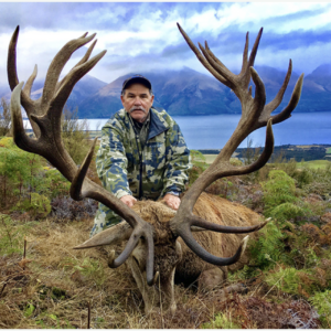 New Zealand Red Stag Hunt (up to 300″) 