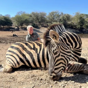 Zebra