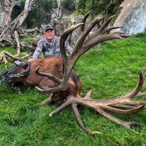 New Zealand Red Stag 450