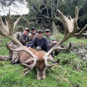 New Zealand Red Stag Hunt (500-549″)