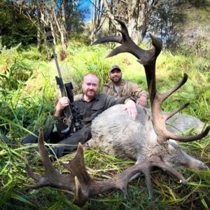 New Zealand Red Stag  350-399” “White” Stag