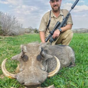 Africa Warthog Cull