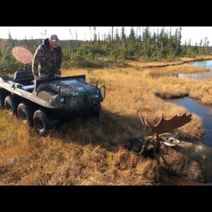 NEWFOUNDLAND - ARGO